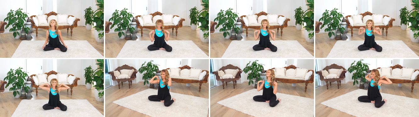 Seated Shoulder Rotations keyframes