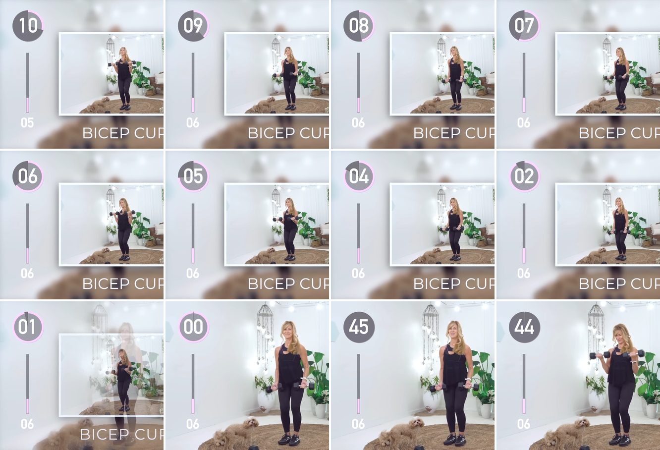 Bicep Curl keyframes