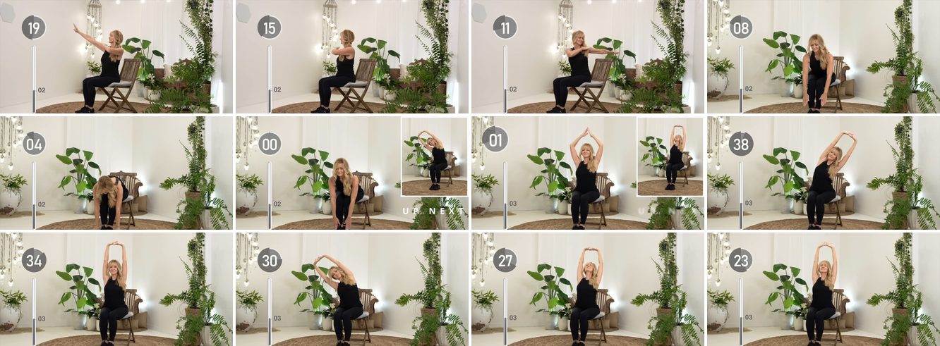 Seated Spinal Full-Range Sequence keyframes